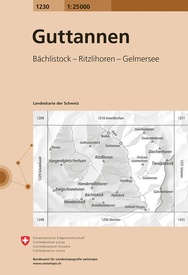 Wandelkaart - Topografische kaart 1230 Guttannen | Swisstopo