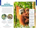 Reisgids Indonesia - Indonesië | Lonely Planet