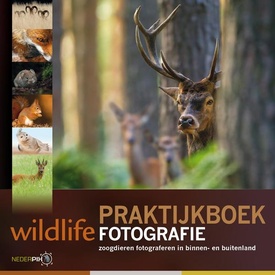 Reisfotografiegids Praktijkboek wildlife fotografie | PIXFactory