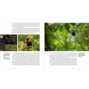 Reisgids - Natuurgids New Guinea | Princeton University