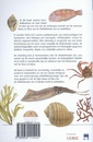 Opruiming - Natuurgids Middellandse zee | KNNV Uitgeverij