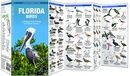 Vogelgids Florida Birds | Waterford Press