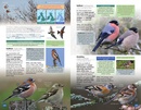 Vogelgids British Birds | Princeton University