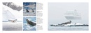 Fotoboek Antarctica | Amber Books