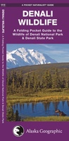 Denali Wildlife Alaska