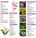 Natuurgids Minigids Eetbare bloemen | KNNV Uitgeverij