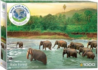 Rainforest - Regenwoud - Olifanten